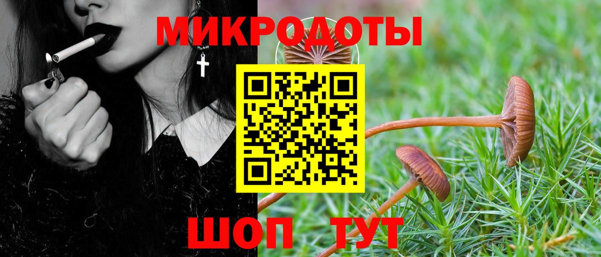 Псилоцибиновые грибы GOLDEN TEACHER  Вход с VPN  Костомукша 